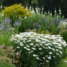 Square beds in July