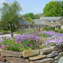 Square beds in July